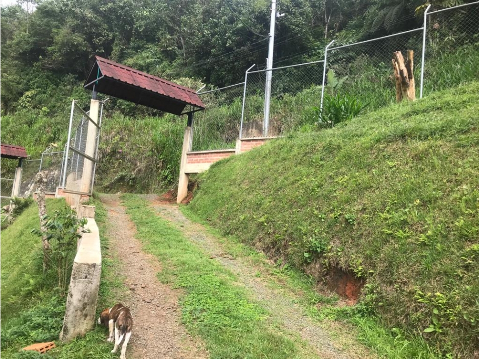 FINCA PRODUCTIVA EN VENTA VIA A CRISTO REY CORREGIMIENTO LA ALDEA — foto 3