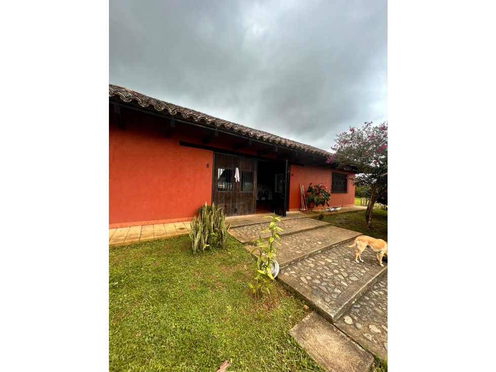 VENTA Lote con posibilidad de proyecto turístico". LAGO CALIMA - 2