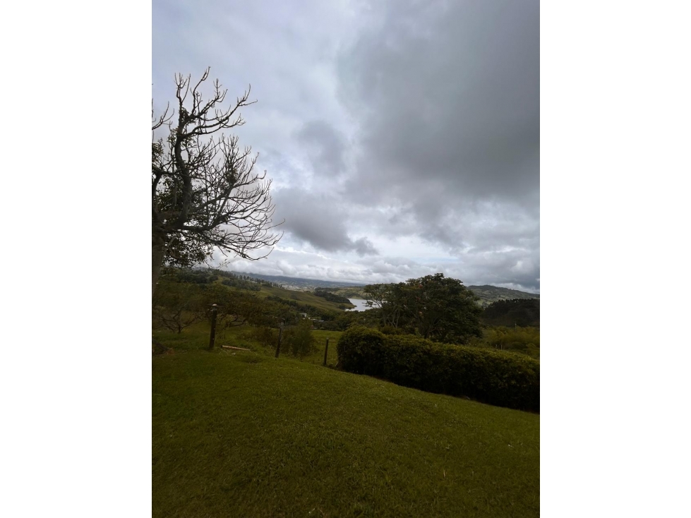 VENTA Lote con posibilidad de proyecto turístico". LAGO CALIMA - 6