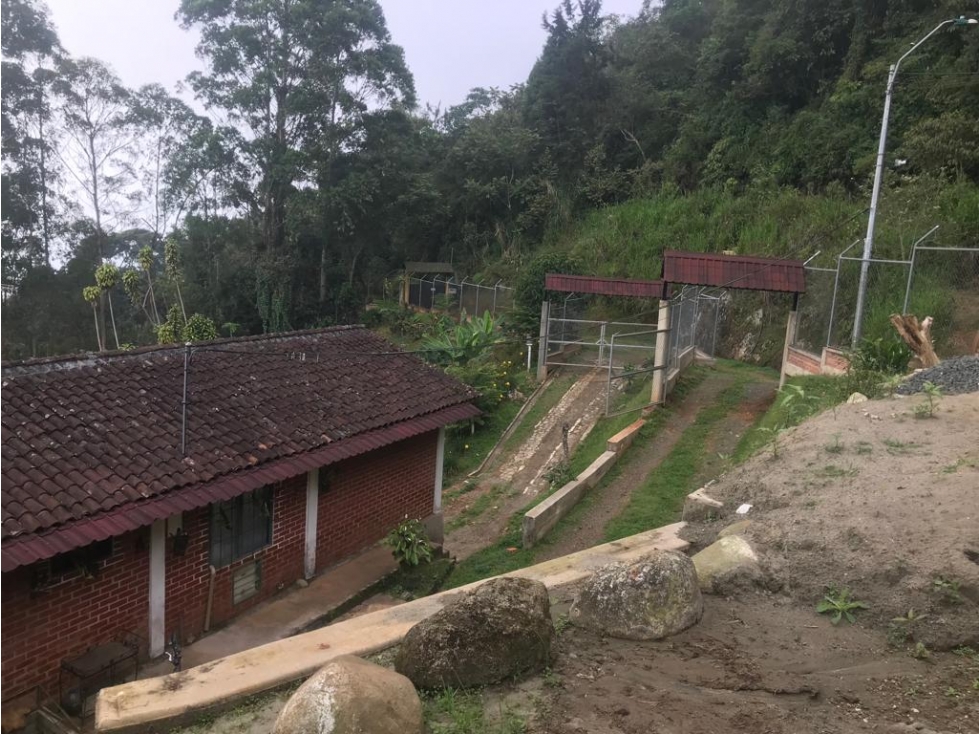 FINCA PRODUCTIVA EN VENTA VIA A CRISTO REY CORREGIMIENTO LA ALDEA — foto 4