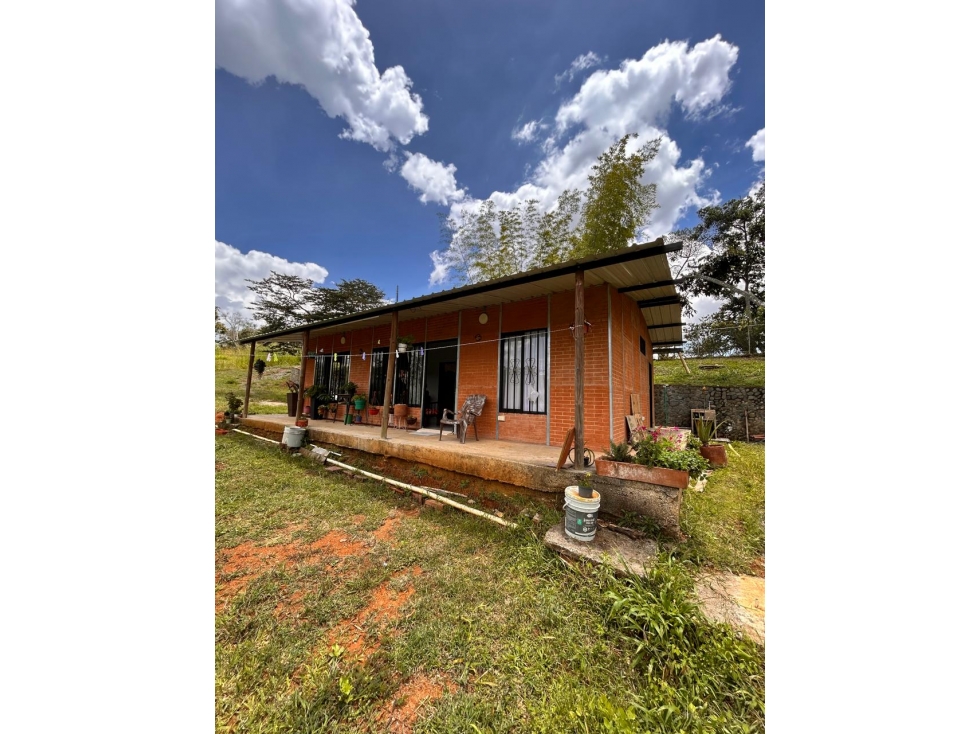 VENTA FINCA EN BORRERO AYERBE VEREDA PUEBLO NUEVO -DAGUA