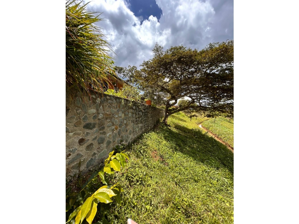 VENTA FINCA EN BORRERO AYERBE VEREDA PUEBLO NUEVO -DAGUA — foto 3