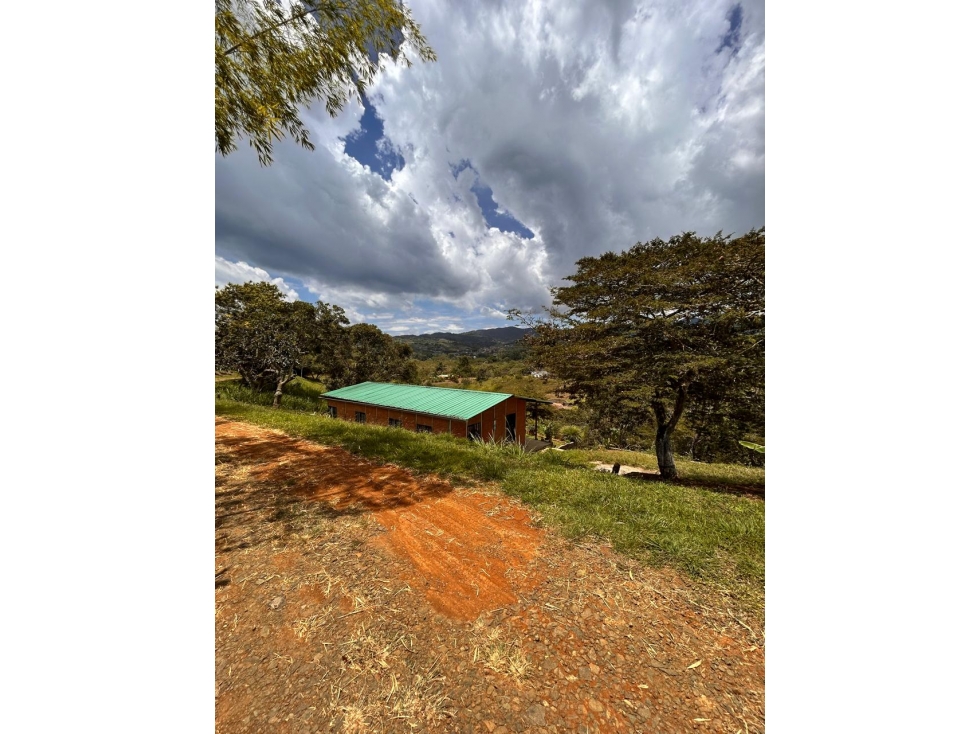 VENTA FINCA EN BORRERO AYERBE VEREDA PUEBLO NUEVO -DAGUA — foto 2