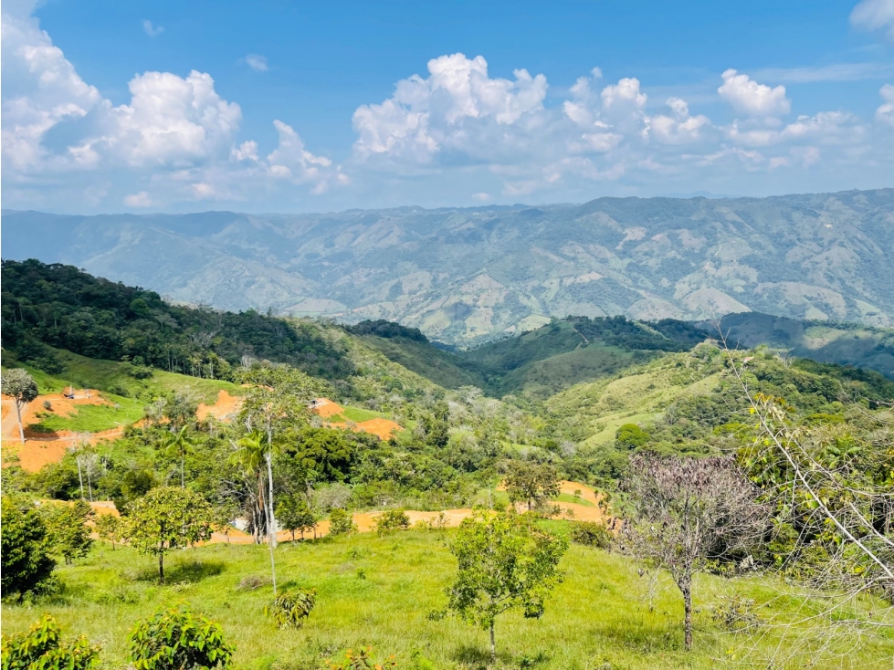 Vendo lote en San Roque, Antioquia. - 5