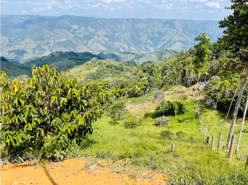 Vendo lote en San Roque, Antioquia. - 1