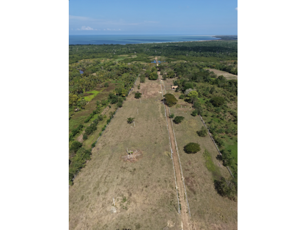 Lote Campestre condominio San Bernandro del Viento - 4