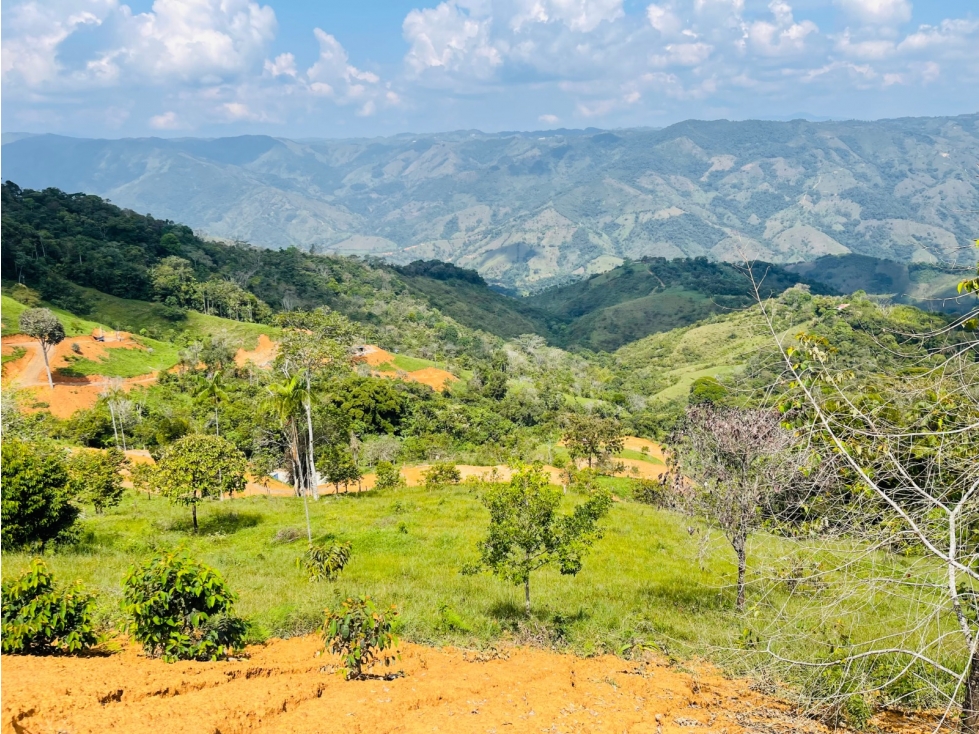 Vendo lote en San Roque, Antioquia. - 2