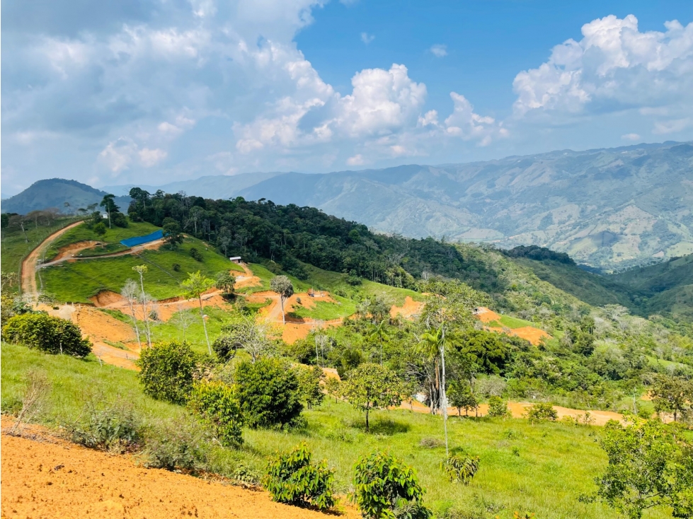 Vendo lote en San Roque, Antioquia. - 4