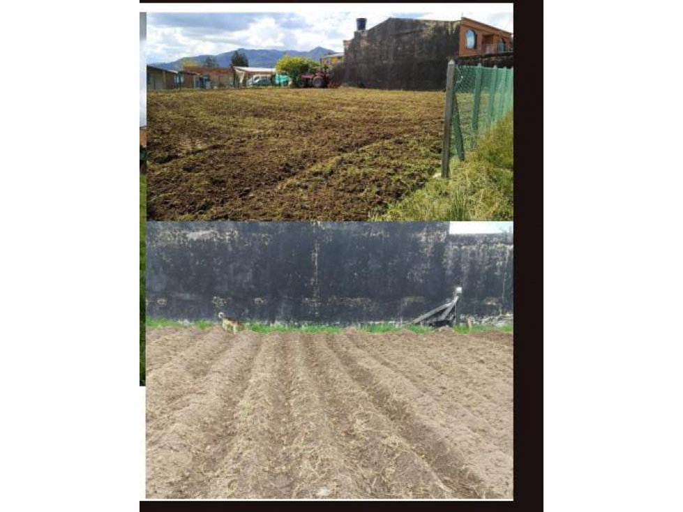 Venta Lote Cogua Vereda Susagua - 2