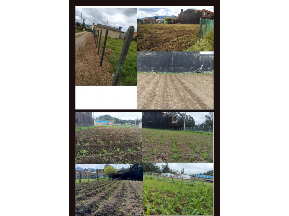 Venta Lote Cogua Vereda Susagua - 3