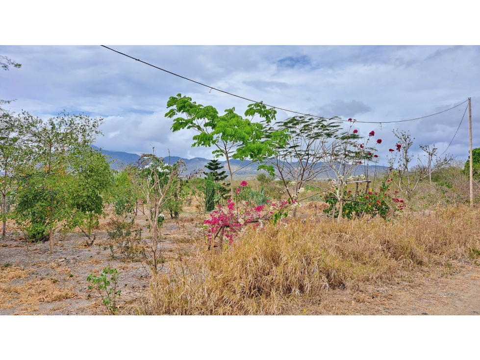 vendo terreno para proyecto, Vía refineria, Montecristi - 6