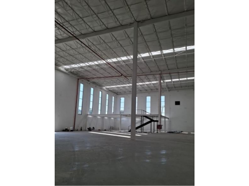 BUROCUA - 5