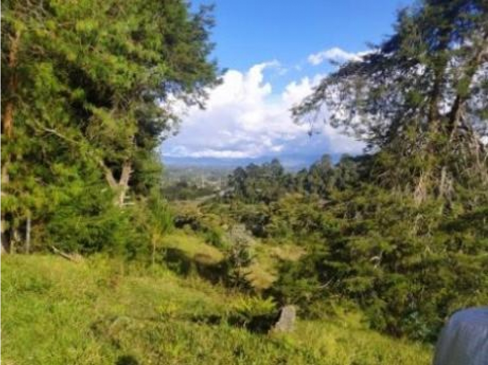 Premium and Exclusive Land Lot in El Tablazo, Near Equinox and Bluman — foto 3