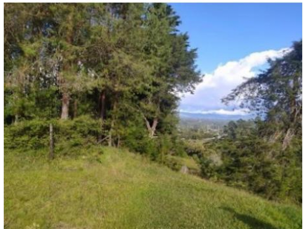 Premium and Exclusive Land Lot in El Tablazo, Near Equinox and Bluman — foto 5