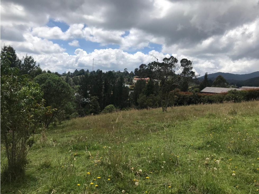 LOTE INDEPENDIENTE EN ALTO DE LAS PALMAS | LA ESPERANZA — foto 2
