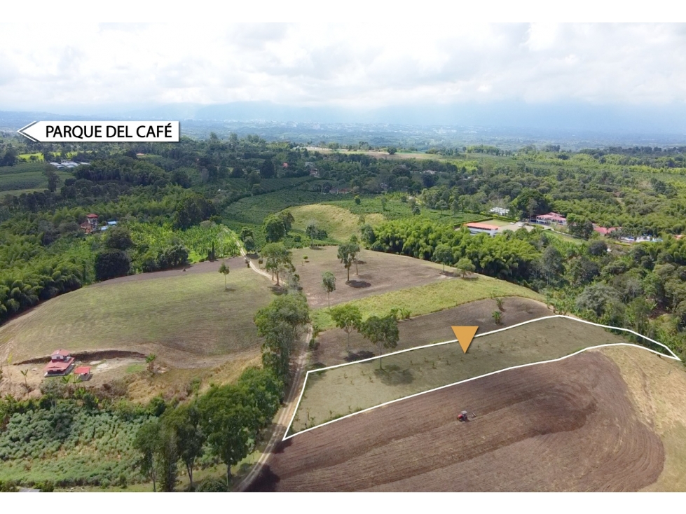 GRAN OPORTUNIDAD LOTE EN MONTENEGRO QUINDIO VEREDA LA CECILIA