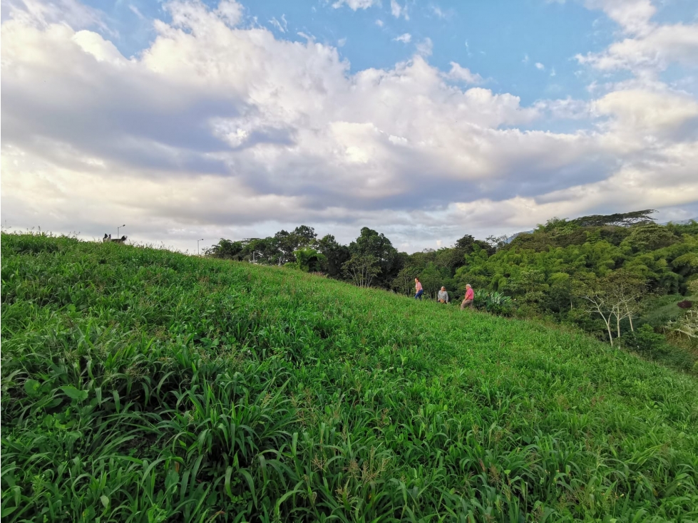VENDO LOTE EN EL CONDOMINIO CAMPESTRE EN CALARCA QUINDIO - 3