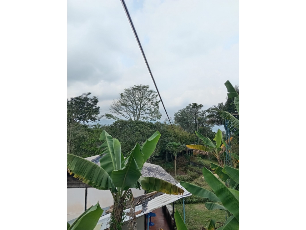 VENDO PREDIO DE 1000 Mtrs2 EN VEREDA LA CRISTALINA CIRCASIA QUINDIO — foto 5