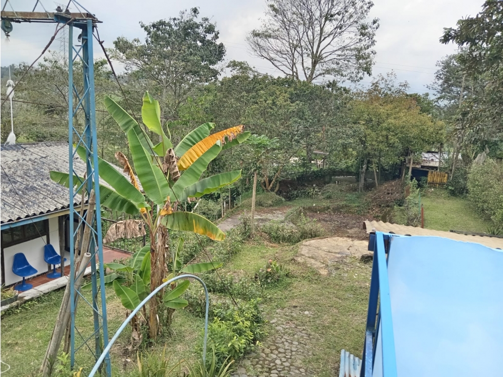 VENDO PREDIO DE 1000 Mtrs2 EN VEREDA LA CRISTALINA CIRCASIA QUINDIO — foto 3