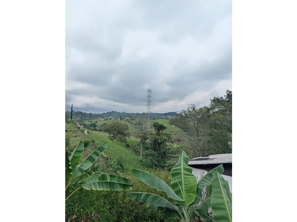 VENDO PREDIO DE 1000 Mtrs2 EN VEREDA LA CRISTALINA CIRCASIA QUINDIO — foto 4