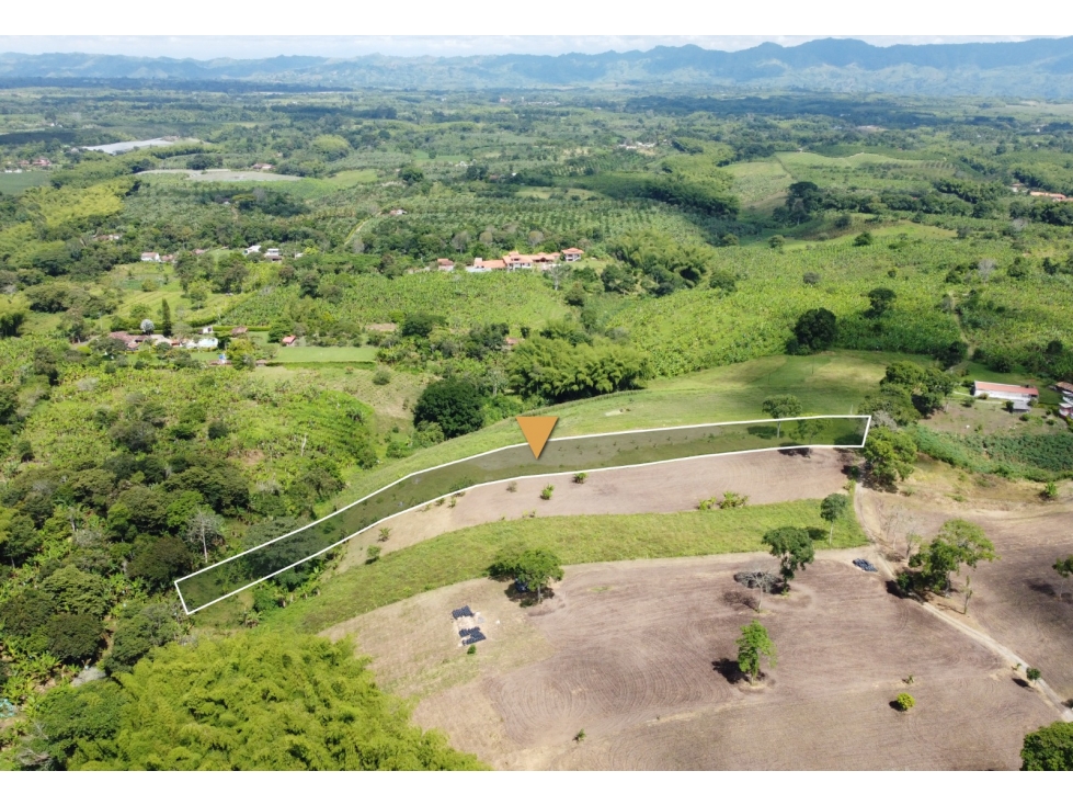 GRAN OPORTUNIDAD LOTE EN MONTENEGRO QUINDIO VEREDA LA CECILIA — foto 2