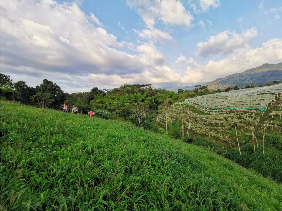 VENDO LOTE EN EL CONDOMINIO CAMPESTRE EN CALARCA QUINDIO - 5