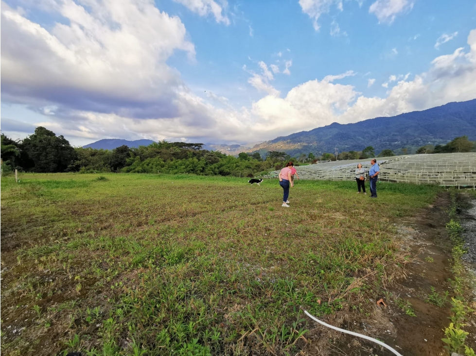VENDO LOTE EN EL CONDOMINIO CAMPESTRE EN CALARCA QUINDIO - 2