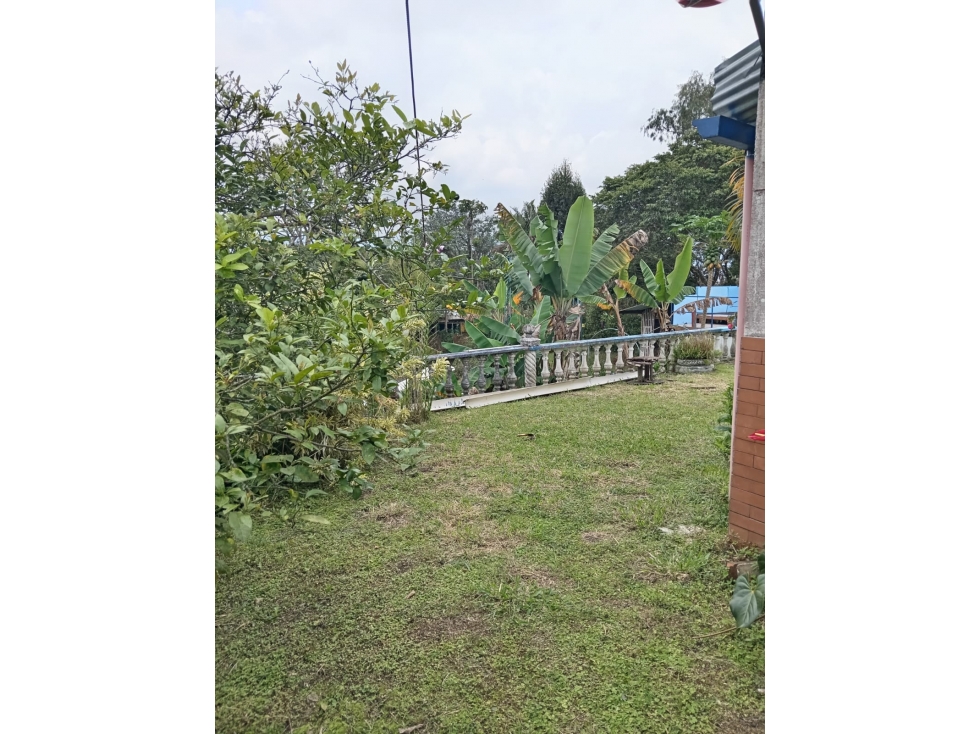 VENDO PREDIO DE 1000 Mtrs2 EN VEREDA LA CRISTALINA CIRCASIA QUINDIO — foto 6