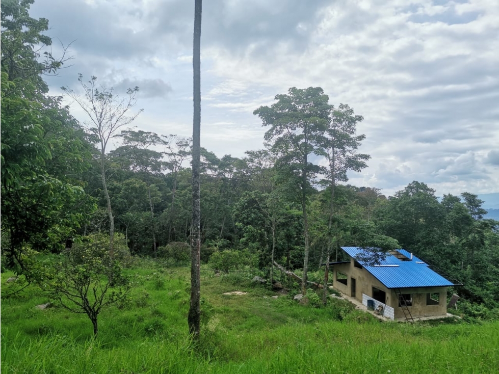 VENTA DE LOTE EN PRADILLA VEREDA ANTIOQUIA - 2