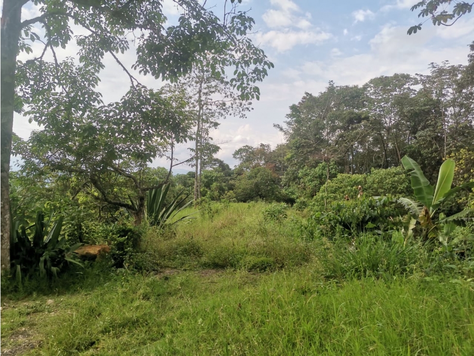 VENTA DE LOTE EN PRADILLA VEREDA ANTIOQUIA - 3