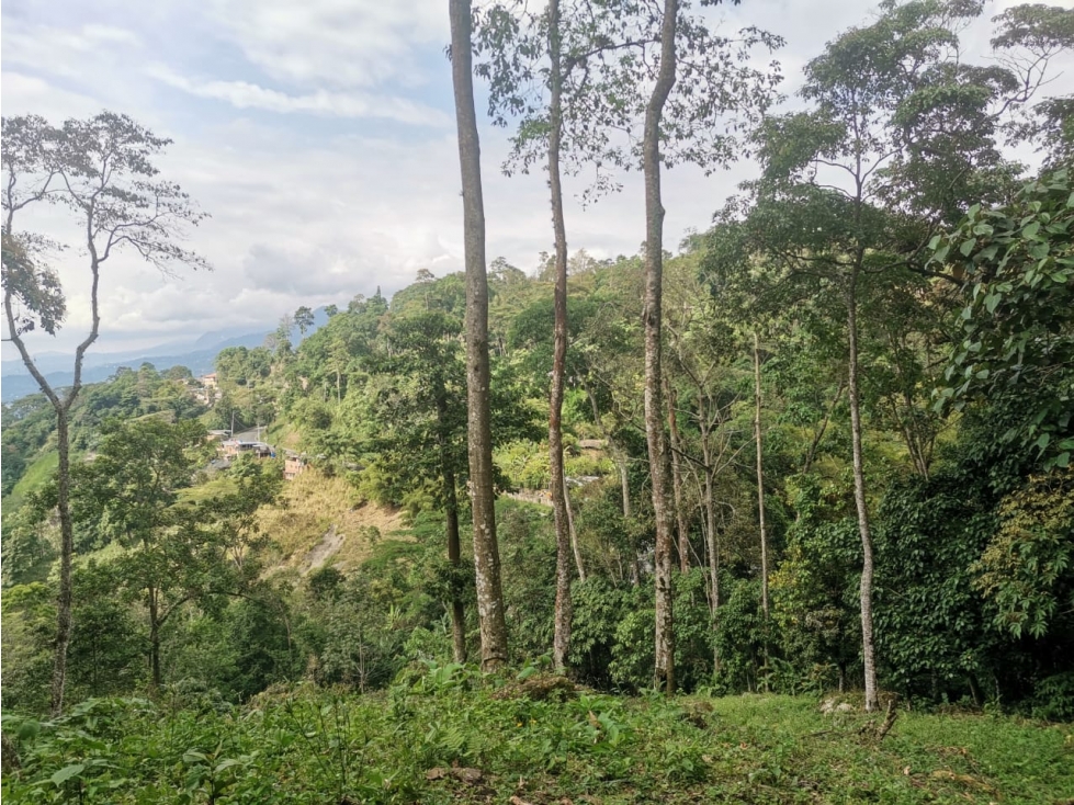 VENTA DE LOTE EN PRADILLA VEREDA ANTIOQUIA - 4