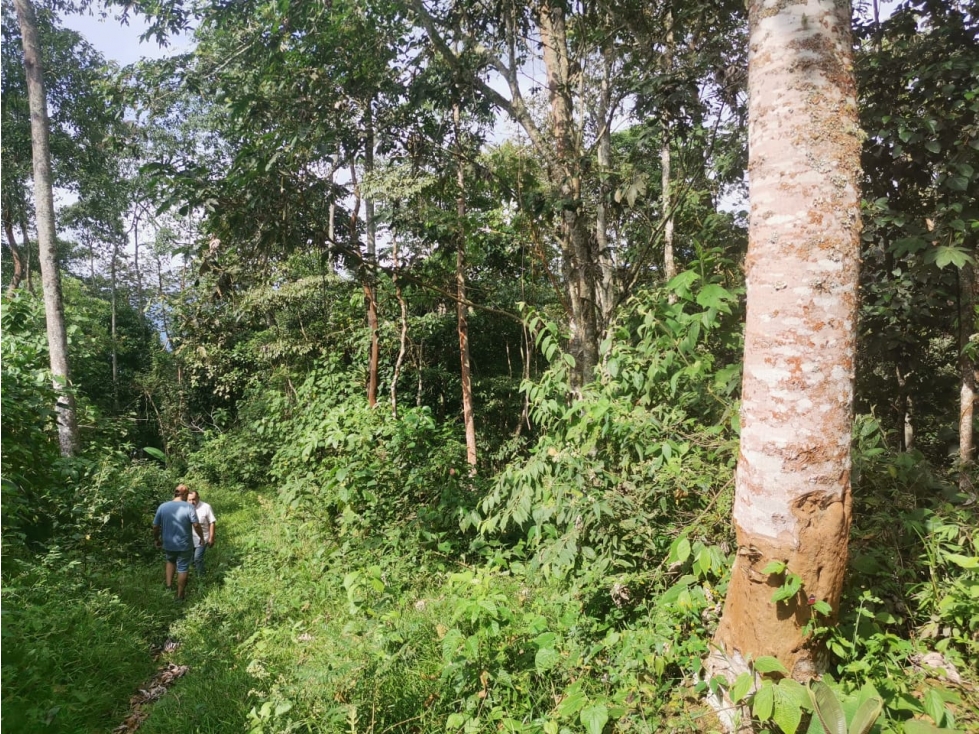 VENTA DE LOTE EN PRADILLA VEREDA ANTIOQUIA - 5