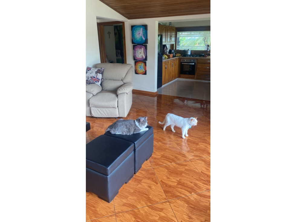 EN VENTA CASA CAMPESTRE CONDOMINIO VIA ALCALA — foto 6