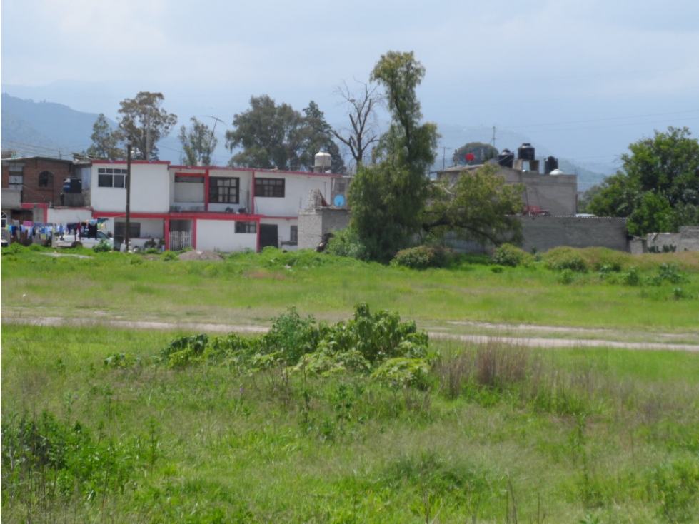 TERRENO TEXCOCO 8000M2 RENTO/VENDO EDO. DE MEX. - 3