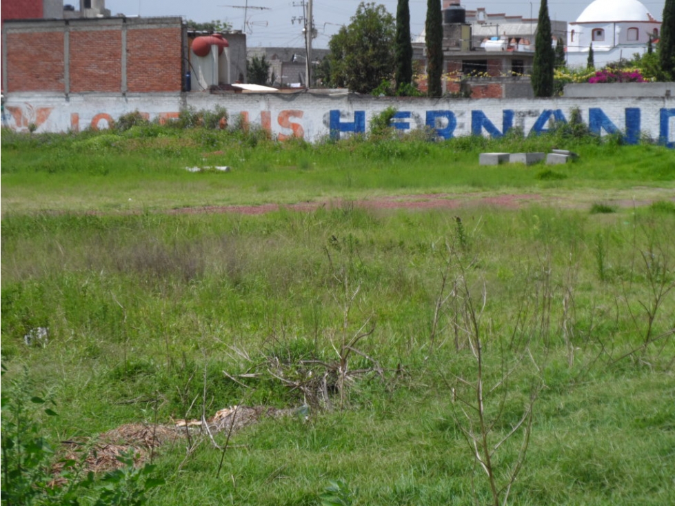 TERRENO TEXCOCO 8000M2 RENTO/VENDO EDO. DE MEX. - 4
