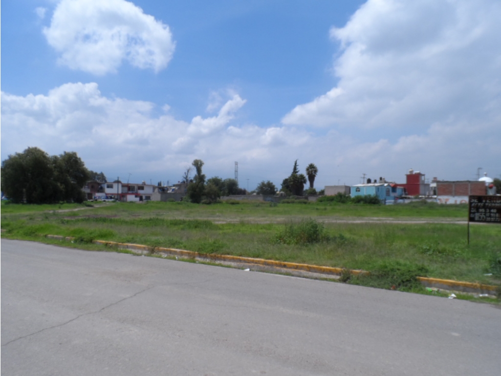 TERRENO TEXCOCO 8000M2 RENTO/VENDO EDO. DE MEX. - 5