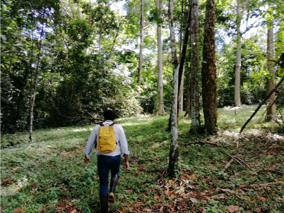 FINCA BOCAS DEL TORO CON PLAYA - 6