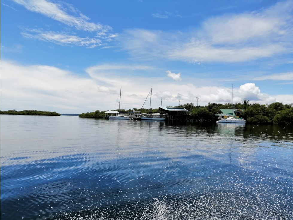 FINCA BOCAS DEL TORO CON PLAYA - 4