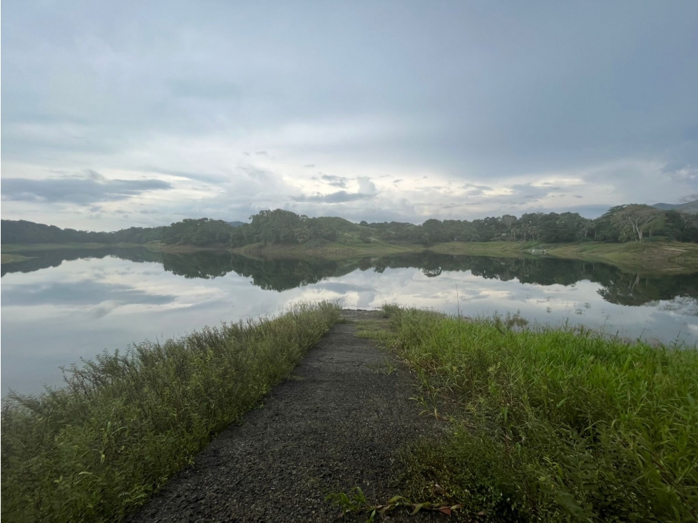 TERRENO LAGO ALAJUELA - 4