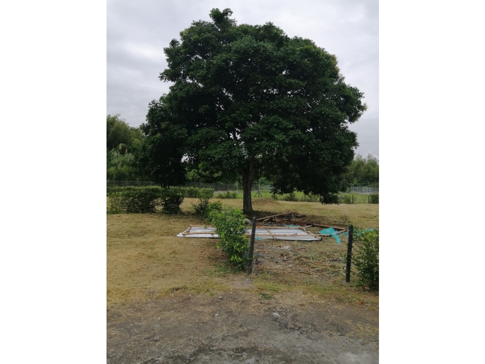 SE VENDE LOTE CAMPESTRE EN PALMIRA — foto 4