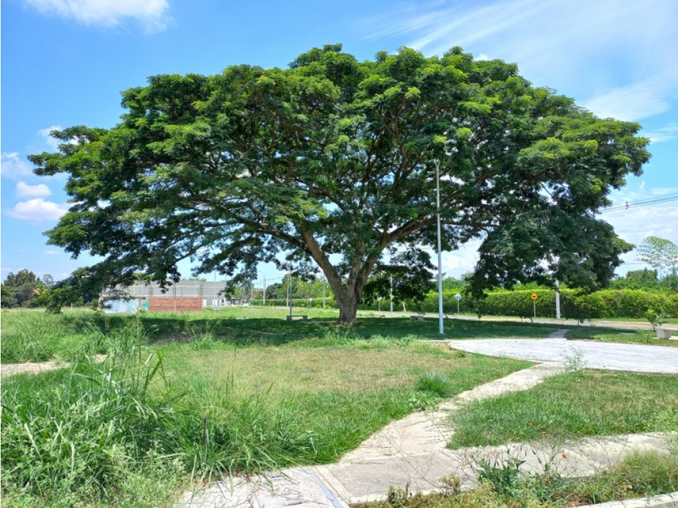 VENDO LOTE DE 159 M2 UBICADO EN LA URBANIZACION ESTANCIA ROZO — foto 6