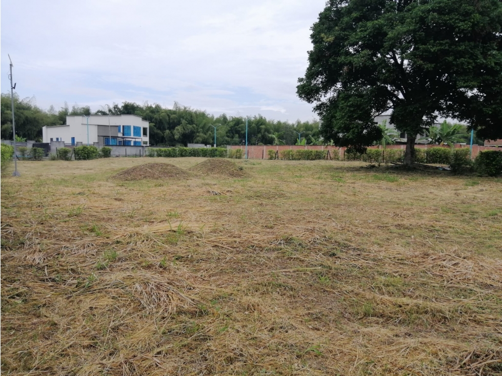 SE VENDE LOTE CAMPESTRE EN PALMIRA — foto 6
