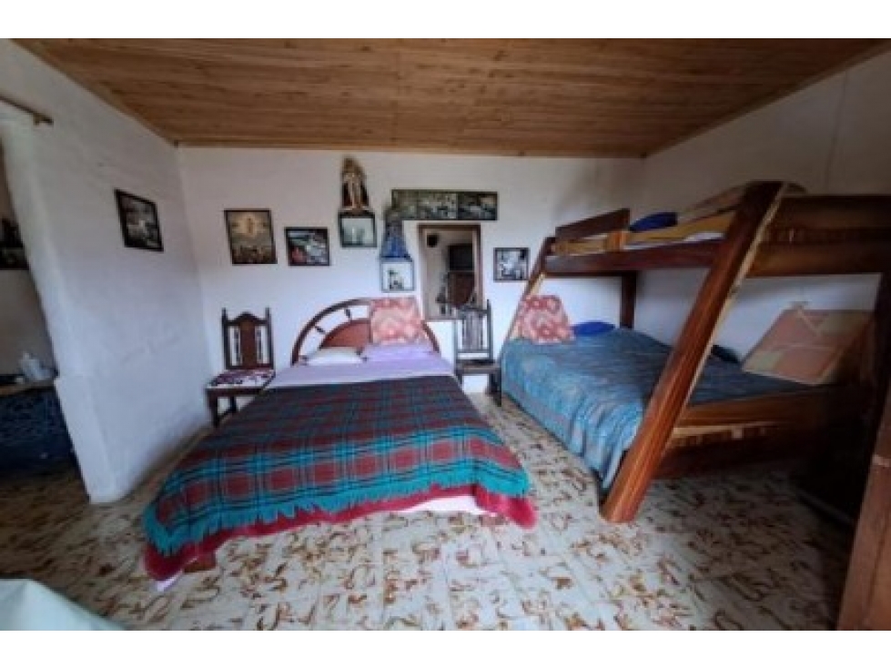 Venta Finca en Abejorral o cambio área Metropolitana - 6