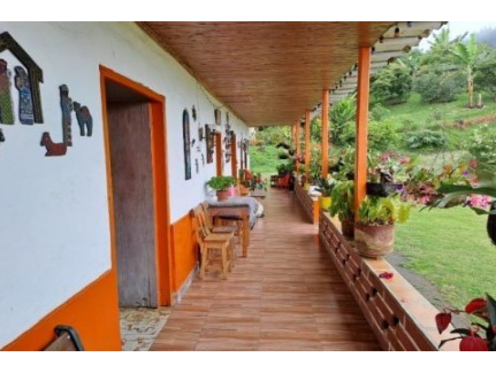 Venta Finca en Abejorral o cambio área Metropolitana - 3
