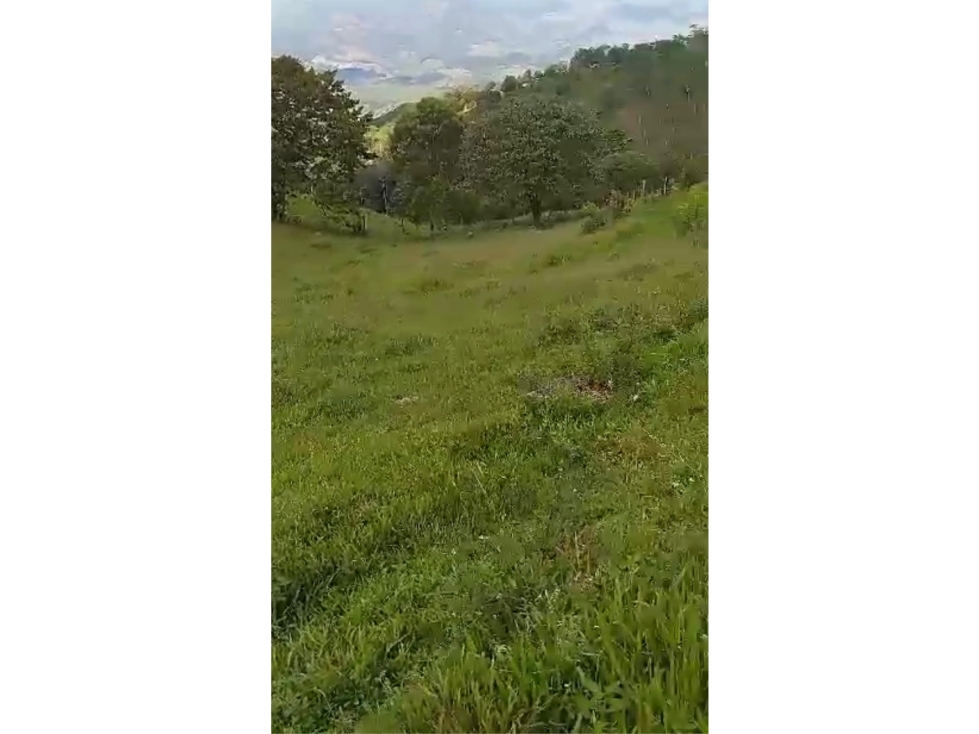 Venta Lotes Santo Domingo Antioquia - 6