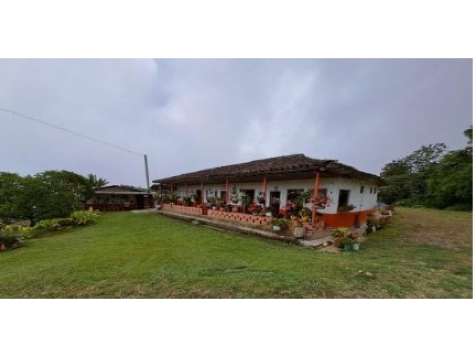 Venta Finca en Abejorral o cambio área Metropolitana - 1