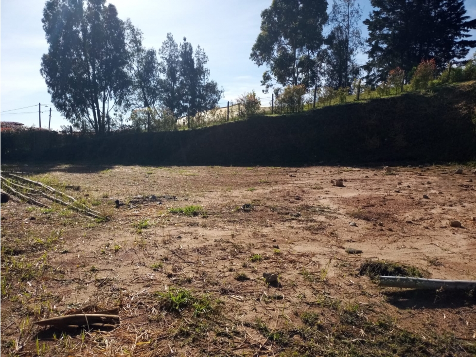 VENDO LOTE SAN VICENTE FERRER-CHAPARRAL — foto 2