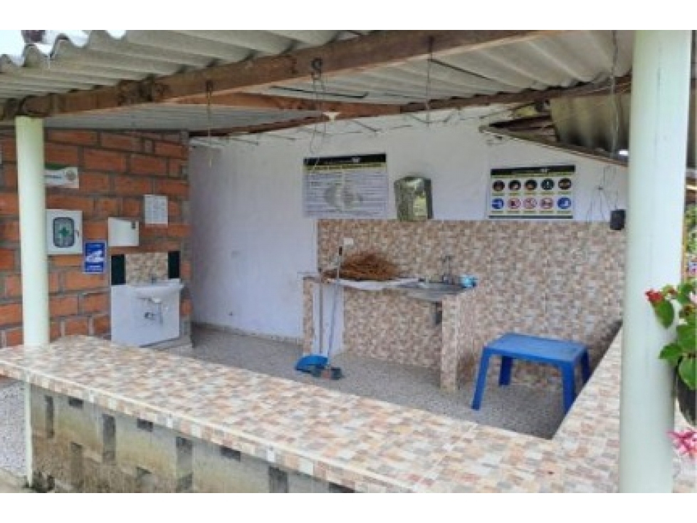 Venta Finca en Abejorral o cambio área Metropolitana - 5