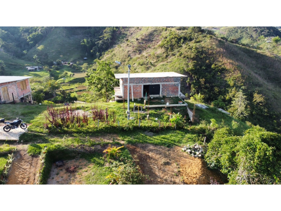 Venta de Finca en San Roque - 3