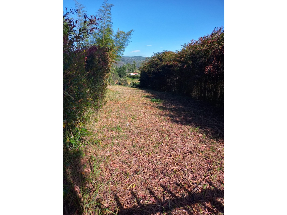 VENDO LOTE SAN VICENTE FERRER-CHAPARRAL — foto 3